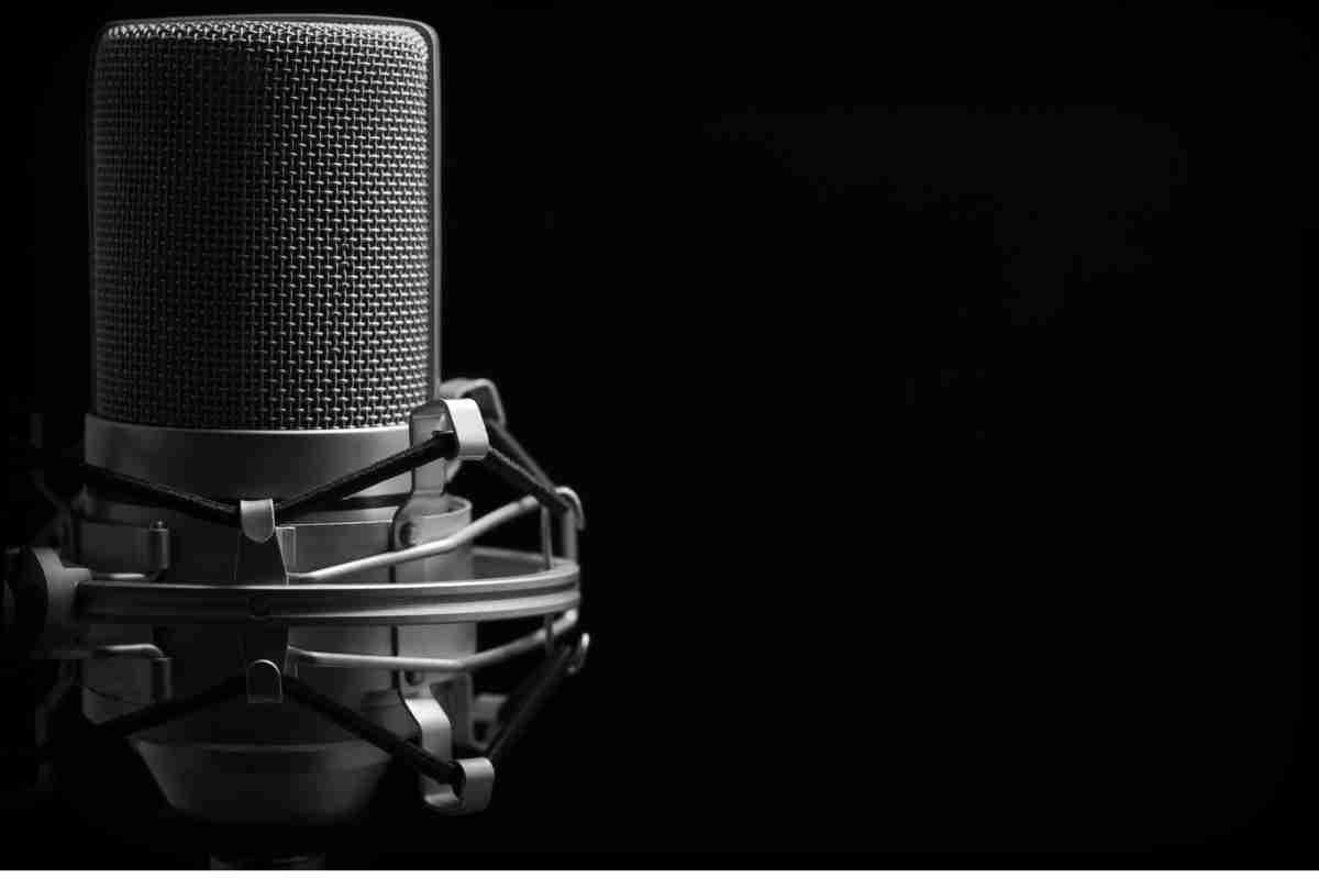 Picture: Condenser Mic