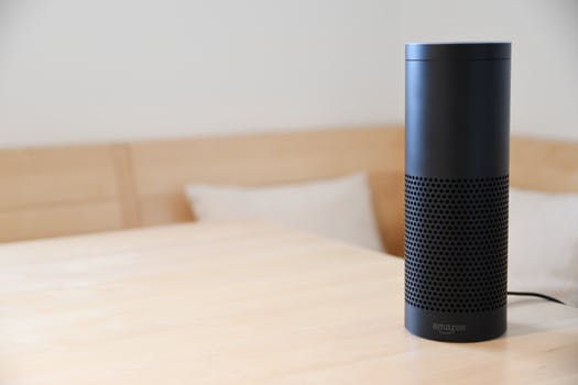 Amazon Alexa, a person without a body: Introducing Blueprints
