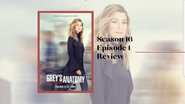 Grey's Anatomy Season 16 
