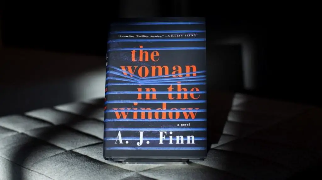 woman at the window book