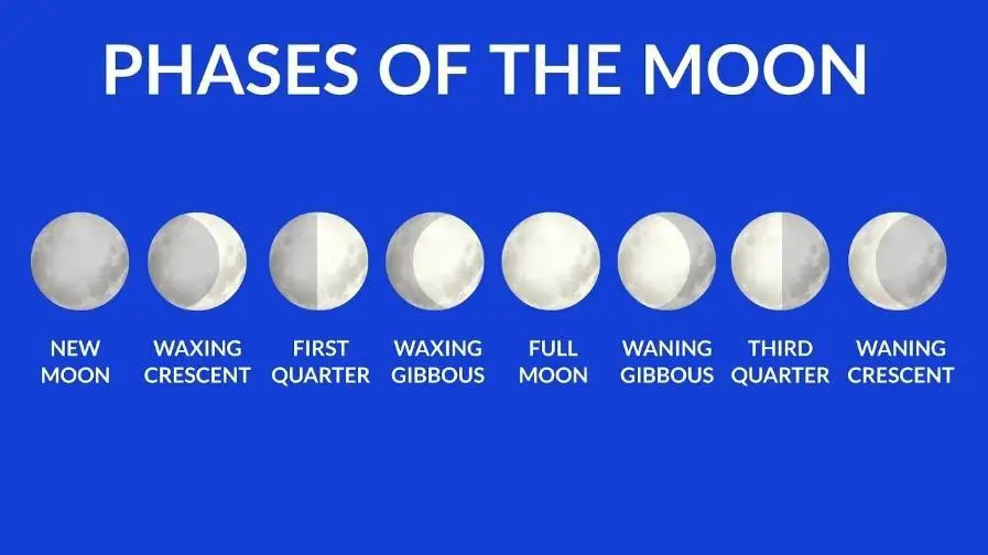 Picture: Phases of the moon