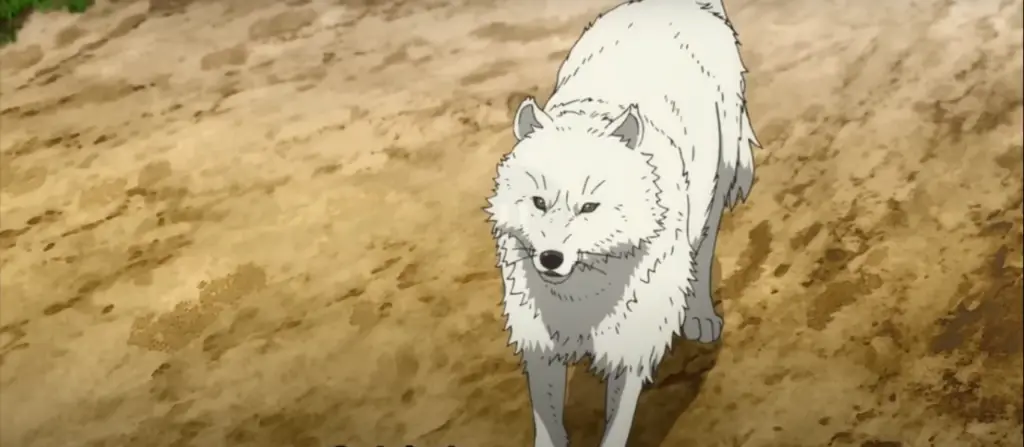 Top And The Best Anime Wolf In Anime Industry
